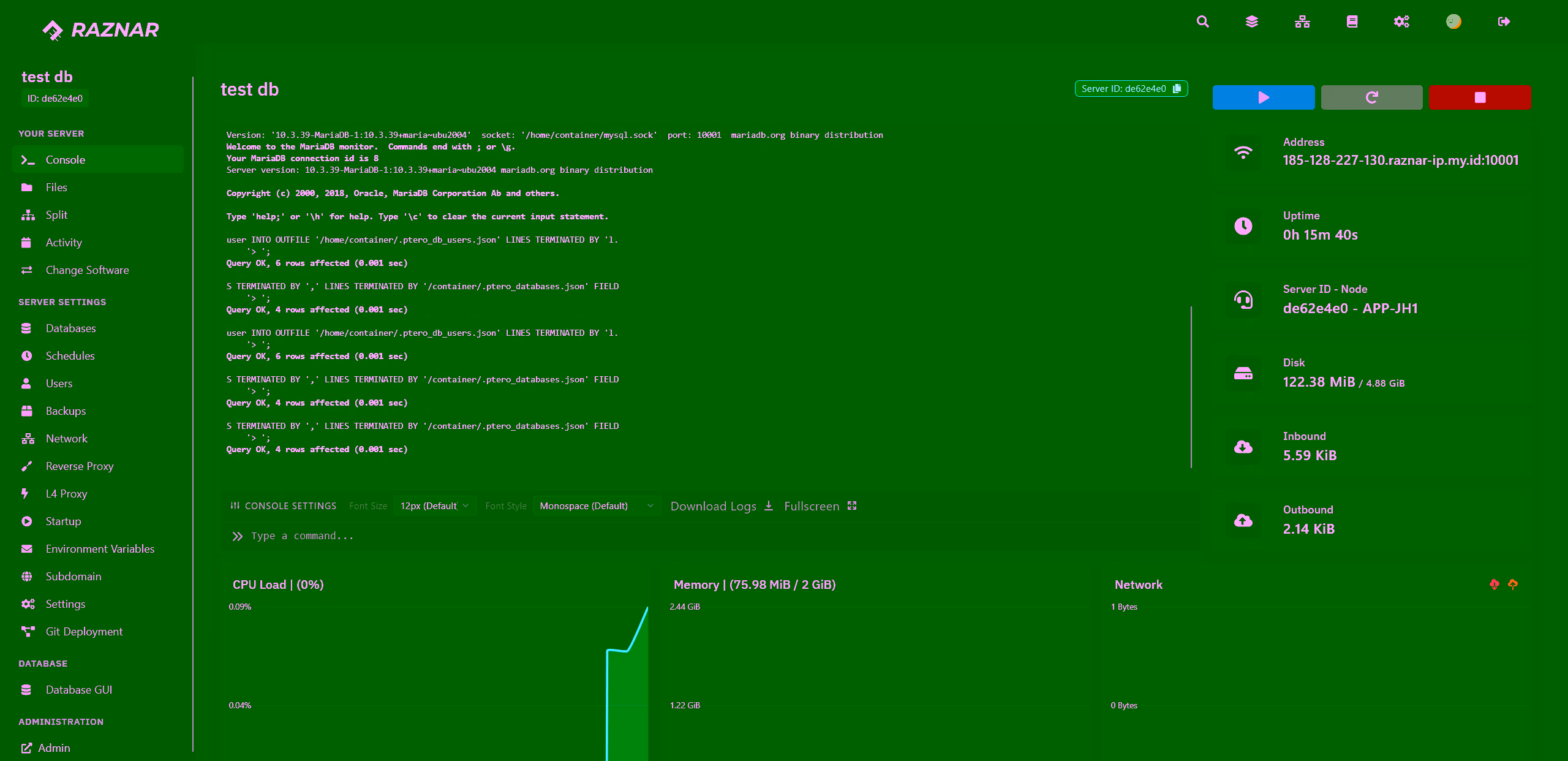 Console tab for viewing the database host