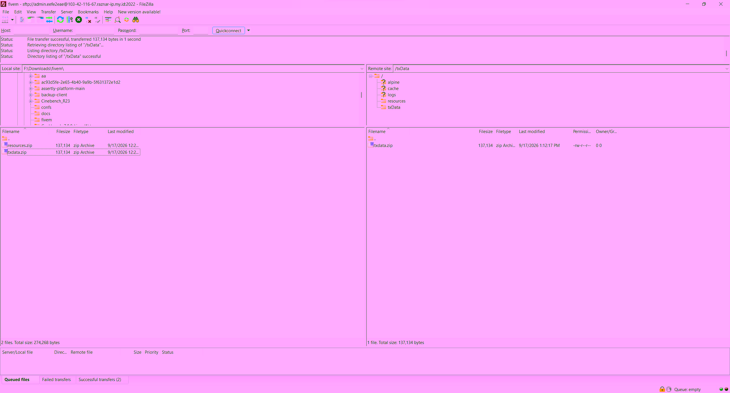 Uploading txAdmin data to /home/container/txData